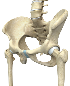 Pre-op & Post-Op Hip Guidelines